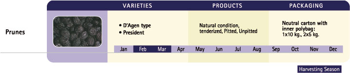 Dehydrated Products Table