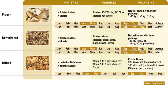 wild mushrooms Table